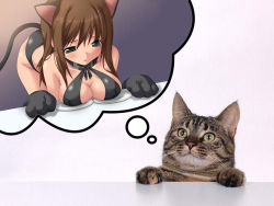 Rule 34 | 1girl, animal ears, blush, breast rest, breasts, brown hair, cat, cat ears, cat tail, cleavage, criss cross top, green eyes, kitty, large breasts, plate, tail