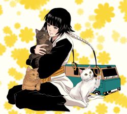 Rule 34 | 1girl, animal, bad id, bad pixiv id, bleach, braid, brown cat, brown eyes, cat, floral background, hair ornament, haori, highres, holding, holding animal, holding cat, japanese clothes, san-san (pixiv16523866), short hair with long locks, sitting, smile, sui-feng, taichou haori, twin braids, white cat