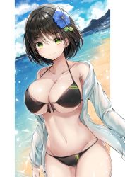 Rule 34 | 1girl, bare shoulders, beach, bikini, black bikini, black hair, breasts, cleavage, closed mouth, collarbone, cowboy shot, flower, front-tie bikini top, front-tie top, green eyes, groin, hair flower, hair ornament, halterneck, halterneck, highres, hiromaster sinta jh, jacket, large breasts, looking at viewer, navel, off shoulder, open clothes, open jacket, original, outdoors, short hair, smile, solo, standing, stomach, string bikini, swimsuit, thighs, white jacket