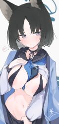 Rule 34 | 1girl, animal ears, areola slip, black eyes, black hair, black sailor collar, black skirt, blue archive, blue halo, blue neckerchief, blush, breasts, cat ears, cat tail, closed mouth, commentary, duplicate, groin, halo, haori, highres, japanese clothes, kikyou (blue archive), large areolae, large breasts, long sleeves, looking at viewer, mikozin, multiple tails, navel, neckerchief, pleated skirt, sailor collar, school uniform, serafuku, short hair, simple background, skirt, solo, spoken blush, tail, two tails, white background