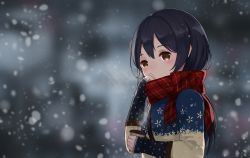Rule 34 | 10s, 1girl, absurdres, alternate costume, bad id, bad pixiv id, black hair, blue hair, blurry, blush, coat, covered mouth, cup, depth of field, highres, holding, holding cup, levi9452, long hair, long sleeves, love live!, love live! school idol festival, love live! school idol project, plaid, plaid scarf, red scarf, scarf, snowing, solo, sonoda umi, steam, sweater, upper body, winter clothes, winter coat, yellow eyes