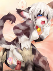 Rule 34 | anus, ass, bed, bell, neck bell, blue eyes, blush, breasts, cat, claws, collar, furry, heart, nipples, no humans, nude, open mouth, penis, pussy, sex, short hair, sideboob, tail, tashiro yuu, text focus, vaginal, white hair