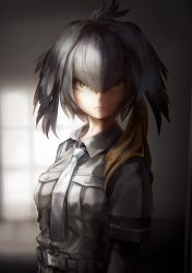 Rule 34 | 10s, 1girl, bodystocking, closed mouth, collared shirt, frown, green eyes, grey hair, grey shirt, head wings, kemono friends, long hair, looking at viewer, low ponytail, necktie, orange hair, pocket, shirt, shoebill (kemono friends), short sleeves, solo, tocope, upper body, white necktie, wings