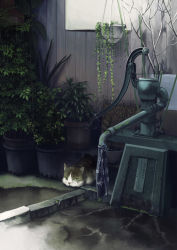 Rule 34 | cat, day, fence, hand pump, highres, kusakabe (kusakabeworks), looking at viewer, no humans, original, outdoors, plant, potted plant, rain, scenery, tokyo (city), translation request, water pump