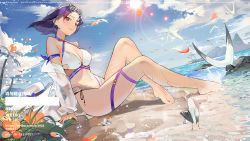 Rule 34 | 1girl, arm support, artist name, barefoot, beach, bikini, bird, black hair, blue sky, breasts, cleavage, closed mouth, cloud, commentary request, day, eyewear on head, feet, flower, full body, halterneck, halterneck, highres, legs, light smile, looking at viewer, medium breasts, navel, ocean, original, outdoors, palm tree, pixiv id, plumw, purple eyes, sand, seagull, short hair, shutter shades, sitting, sky, solo, stomach, sun, sunlight, swimsuit, thighs, tree, weibo watermark, white bikini