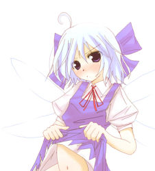 Rule 34 | 1girl, cirno, clothes lift, embodiment of scarlet devil, female focus, lifted by self, lowres, no panties, skirt, skirt lift, solo, touhou, white background