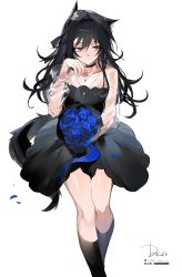 Rule 34 | 1girl, absurdres, animal ears, arknights, black choker, black dress, black hair, black socks, blue flower, bouquet, choker, cross, cross necklace, dress, feet out of frame, flower, hair between eyes, hand up, head rest, highres, holding, holding bouquet, holding flower, jewelry, kneehighs, long hair, meng ziya, necklace, official alternate costume, petals, see-through, see-through sleeves, simple background, socks, solo, tail, texas (arknights), texas the omertosa (arknights), white background, wolf ears, wolf girl, wolf tail, yellow eyes