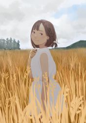 Rule 34 | 1girl, arm at side, arm up, bare arms, bob cut, braid, brown eyes, brown hair, closed mouth, commentary, day, dress, from side, grey sky, hanasaki-ki, hand up, highres, looking at viewer, original, outdoors, overcast, scenery, short hair, sky, sleeveless, sleeveless dress, smile, solo, standing, sunlight, tree, wheat field, white dress