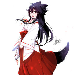 Rule 34 | 1girl, animal ears, black hair, blush, chinese commentary, commentary request, dated, ejami, ekko (ejami), fox ears, fox girl, fox tail, hakama, hakama skirt, japanese clothes, long hair, looking at viewer, miko, open mouth, original, red eyes, red hakama, signature, simple background, skirt, solo, tail, white background