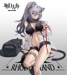 Rule 34 | 1girl, absurdres, animal ear fluff, animal ears, arknights, arm support, bad id, bad pixiv id, bag, bare legs, bare shoulders, black scarf, black shorts, grabbing another&#039;s breast, breasts, cat ears, cat tail, chinese commentary, commentary request, copyright name, crop top, feet out of frame, grabbing, grabbing own breast, gradient background, grey background, guangsupaomian, hair between eyes, hand up, highres, jacket, large breasts, long hair, looking at viewer, midriff, navel, off shoulder, open clothes, open fly, open jacket, partial commentary, scarf, schwarz (arknights), see-through, shadow, short shorts, shorts, silver hair, sitting, solo, stomach, tail, thigh strap, thighs, white background, yellow eyes