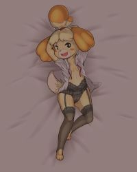 Rule 34 | 1girl, animal crossing, animal ears, animal hands, arms up, bed sheet, bell, black eyes, black panties, black thighhighs, blonde hair, blush stickers, breasts, buck teeth, collarbone, dakimakura (medium), dark, dog ears, dog girl, dog tail, female focus, from above, full body, furry, furry female, garter belt, garter straps, grey background, hair bell, hair ornament, hair tie, happy, highres, isabelle (animal crossing), jingle bell, lingerie, looking to the side, lying, navel, nintendo, on back, open clothes, open mouth, open shirt, panties, red ribbon, ribbon, shirt, short hair, short sleeves, simple background, small breasts, smile, solo, suenbroe, sweat, tail, teeth, thighhighs, toeless legwear, topknot, underwear, white shirt