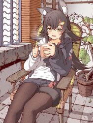 Rule 34 | 1girl, animal ear fluff, animal ears, arm rest, black hair, black hoodie, drink, hair between eyes, hair ornament, highres, holding, holding drink, hololive, hood, hoodie, indoors, leaf, leaning back, long hair, long sleeves, multicolored hair, official alternate costume, on chair, ookami mio, ookami mio (casual), open mouth, pantyhose, paw print, paw print pattern, plant, potted plant, red hair, relaxing, shorts, sitting, solo, streaked hair, tail, tail around own leg, tile floor, tiles, two-tone hoodie, virtual youtuber, white hoodie, wolf ears, wolf girl, wolf tail, wooden chair, yellow eyes, yurai0739