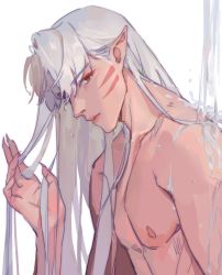 Rule 34 | 1boy, closed mouth, commentary request, facial mark, hand up, inuyasha, long hair, looking at viewer, male focus, mmmilk, nipples, nude, pointy ears, sesshoumaru, showering, simple background, upper body, water, wet, wet hair, whisker markings, white background, white hair, yellow eyes