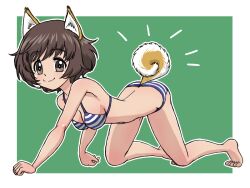 Rule 34 | 1girl, akiyama yukari, all fours, animal ears, ass, bikini, blue stripes, blush, breasts, brown eyes, brown hair, butt crack, cleavage, closed mouth, dog ears, dog tail, full body, girls und panzer, green background, looking at viewer, medium breasts, outside border, short hair, simple background, smile, solo, striped bikini, striped clothes, swimsuit, tail, takahashi kurage, white stripes