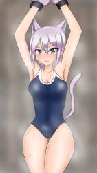 1girl animal_ears blush breasts cat_ears cat_tail fairy_tail highres large_breasts lisanna_strauss school_swimsuit shibusawa_taka short_hair swimsuit tail white_hair