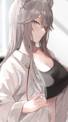 Rule 34 | 1girl, animal ears, black bra, bra, breasts, cleavage, collared shirt, commentary request, grey eyes, grey hair, hair between eyes, highres, hololive, large breasts, lion ears, lion girl, long hair, looking at viewer, looking to the side, open clothes, open shirt, pineapple (pine), shirt, shishiro botan, shishiro botan (button-down), solo, sports bra, underwear, upper body, virtual youtuber, white shirt