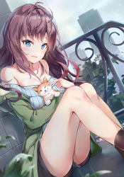 Rule 34 | 1girl, animal, black shorts, blue eyes, blue sweater, breasts, brown hair, cleavage, cloud, cloudy sky, coat, day, dog, dutch angle, ginn (hzh770121), green coat, highres, holding, holding animal, ichinose shiki, idolmaster, idolmaster cinderella girls, idolmaster cinderella girls starlight stage, long hair, medium breasts, outdoors, puppy, rain, short shorts, shorts, sitting, sky, solo, sweater