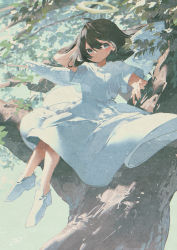 Rule 34 | 1girl, angel, angel wings, blue eyes, branch, brown hair, closed mouth, commentary request, day, dress, full body, halo, highres, in tree, light blush, light particles, long hair, looking at viewer, original, outdoors, potg (piotegu), short sleeves, signature, solo, tree, white dress, white footwear, wings