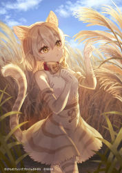 Rule 34 | animal ears, animal print, bare shoulders, bow, bowtie, cat (kemono friends), cat ears, cat girl, cat print, cat tail, collar, commentary request, elbow gloves, extra ears, gloves, high-waist skirt, kemono friends, kemono friends 3, light brown hair, namihaya, official art, print bow, print bowtie, print gloves, print skirt, print thighhighs, red collar, shirt, short hair, skirt, sleeveless, solo, striped bow, striped bowtie, striped clothes, tail, thighhighs, translation request, wheat, wheat field, white shirt, yellow eyes, zettai ryouiki
