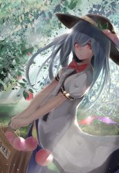 Rule 34 | 1girl, bag, blue hair, bow, day, emushake, flower, grass, hat, highres, hinanawi tenshi, holding, leaf, long hair, looking at viewer, outdoors, red eyes, short sleeves, skirt, smile, solo, touhou, tree