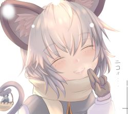 Rule 34 | 1girl, animal ears, basket, breath, capelet, closed eyes, dress, gloves, grey hair, hand up, ishikkoro, long sleeves, mouse (animal), mouse ears, mouse tail, nazrin, open mouth, pink lips, portrait, scarf, simple background, smile, solo, steam, tail, teeth, touhou, translated, white background