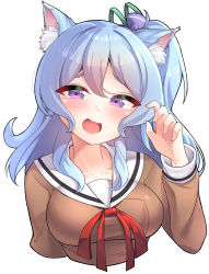 Rule 34 | 1girl, :d, animal ear fluff, animal ears, bang dream!, blue hair, blush, bow, breasts, brown jacket, cat ears, collarbone, commentary, cropped arms, cropped torso, green ribbon, hair between eyes, hair bow, hair ribbon, hanasakigawa school uniform, hand up, highres, jacket, kemonomimi mode, long hair, long sleeves, looking at viewer, matsubara kanon, medium breasts, neck ribbon, one side up, open mouth, purple bow, purple eyes, raised eyebrows, red ribbon, ribbon, rustysalmon, sailor collar, school uniform, serafuku, simple background, smile, solo, upper body, white background, white sailor collar