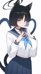 Rule 34 | 1girl, absurdres, animal ears, black hair, black sailor collar, black skirt, blue archive, blue halo, blue neckerchief, blush, boneseing, breasts, brown eyes, cat ears, cat tail, closed mouth, fang, halo, highres, kikyou (blue archive), large breasts, long sleeves, looking at viewer, multiple tails, neckerchief, pleated skirt, sailor collar, school uniform, serafuku, short hair, simple background, skirt, solo, tail, two tails, white background