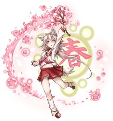 Rule 34 | 1girl, animal ears, arm up, branch, cherry blossoms, chestnut mouth, colored eyelashes, fox ears, fox tail, full body, grey hair, hair between eyes, highres, holding, kazana (sakuto), loafers, long hair, looking up, loose socks, midriff, navel, neckerchief, original, outstretched arm, outstretched arms, petals, pleated skirt, red eyes, red skirt, saku (kazana), school uniform, serafuku, shirt, shoes, skirt, sleeves past wrists, socks, solo, tail, very long hair, white background, white shirt, white socks, wolf ears, wolf tail