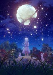 Rule 34 | 1girl, absurdres, animal, back bow, bow, breaking, cloud, crack, dress, from behind, grass, highres, holding, holding animal, ilstau, long hair, moon, night, original, rabbit, scenery, shooting star, sky, solo, standing, star (sky), starry sky, tree, white dress, white hair