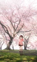 Rule 34 | 1girl, absurdres, black skirt, black socks, blush, brown eyes, brown footwear, brown hair, cardigan, cherry blossoms, collared shirt, commentary request, day, dress shirt, flower, grass, hand up, head tilt, highres, hoshimiya aki, huge filesize, kneehighs, loafers, looking at viewer, original, outdoors, parted lips, petals, pink cardigan, pink flower, pleated skirt, scenery, shirt, shoes, skirt, smile, socks, solo, spring (season), standing, sunlight, tree, white shirt, wide shot