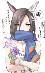 Rule 34 | 1girl, air groove (quercus civilis) (umamusume), air groove (umamusume), animal ears, bare shoulders, black hair, blue eyes, blue scarf, blush, breasts, brown mittens, cleavage, covered mouth, crossed arms, dress, eyes visible through hair, fringe trim, fur-trimmed mittens, fur trim, hair between eyes, highres, horse ears, kuguri oimo, looking at viewer, mittens, parted bangs, scarf, see-through, see-through cleavage, simple background, sleeveless, sleeveless dress, solo, spoken squiggle, squiggle, sweat, translation request, umamusume, upper body, white background, white dress
