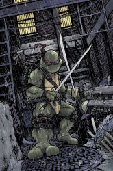 Rule 34 | 1boy, commentary, david petersen, dual wielding, english commentary, full body, holding, holding sword, holding weapon, katana, leonardo (tmnt), looking at viewer, male focus, manhole cover, mask, ninja, official art, rain, red mask, sword, teenage mutant ninja turtles, teenage mutant ninja turtles (idw), turtle boy, weapon, western comics (style)