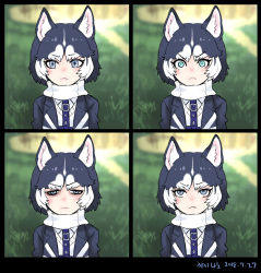 Rule 34 | 10s, 1girl, :&lt;, animal ears, black hair, blue eyes, commentary, dated, dog ears, english commentary, expressions, frown, glaring, grass, kemono friends, looking at viewer, multicolored hair, outdoors, photo-referenced, roonhee, serious, short hair, siberian husky (kemono friends), two-tone hair, upper body, v-shaped eyebrows, white hair