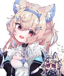 Rule 34 | 1girl, animal ear fluff, animal ears, belt collar, black collar, black jacket, blonde hair, blue headband, chibi, collar, dog ears, dog girl, fur-trimmed jacket, fur trim, fuwamoco, fuwawa abyssgard, fuwawa abyssgard (1st costume), hair ornament, hairpin, headband, highres, holoadvent, hololive, hololive english, jacket, koyoinacho, looking at viewer, multicolored hair, open mouth, red eyes, shirt, solo, streaked hair, teeth, upper teeth only, virtual youtuber, white background, white shirt