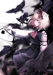 Rule 34 | 1girl, ascot, bird, black skirt, black vest, blonde hair, crow, highres, long sleeves, puffy sleeves, red ascot, red eyes, rumia, skirt, solo, t terano, touhou, vest