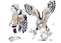 Rule 34 | 1boy, akaashi keiji, animal feet, anklet, artist name, ball, bandaid, bandaid on cheek, bandaid on face, bird legs, bird wings, brown eyes, brown shirt, child, closed mouth, feathered wings, flying, full body, haikyuu!!, harpy boy, holding, holding ball, jewelry, looking at object, looking down, looking to the side, male focus, monochrome, monster boy, monsterification, multiple views, natsu (rodysanp), shirt, short hair, short sleeves, shorts, signature, simple background, standing, talons, very short hair, volleyball, volleyball (object), white background, wings