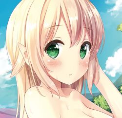 Rule 34 | 1girl, bare shoulders, blonde hair, blue sky, blush, breasts, close-up, cloud, cloudy sky, cropped, day, green eyes, hand in own hair, highres, karutamo, large breasts, looking at viewer, official art, otona no moeoh, outdoors, pointy ears, preview, sample watermark, sky, solo, upper body, watermark, wet