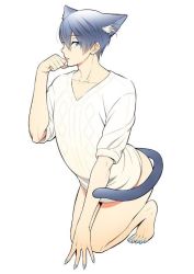 Rule 34 | 10s, 1boy, animal ears, black hair, blue eyes, blue nails, blue toenails, bottomless, cat boy, cat ears, cat tail, free!, kneeling, licking, looking at viewer, male focus, nail polish, nanase haruka (free!), short hair, simple background, solo, tail, tongue, white background