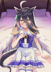 Rule 34 | ahoge, animal ears, bed, black hair, blush, commentary request, hair between eyes, highres, horse ears, horse girl, horse tail, looking at viewer, manhattan cafe (umamusume), numachi doromaru, pillow, pov, pov hands, school uniform, tail, thighhighs, tracen school uniform, umamusume, yellow eyes