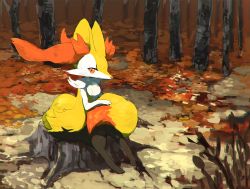 Rule 34 | animal ear fluff, animal nose, braixen, buntatta, closed mouth, commentary request, creatures (company), forest, furry, game freak, gen 6 pokemon, leaf, looking at viewer, nature, nintendo, orange eyes, outdoors, pokemon, pokemon (creature), sitting, solo, toes, tree, tree stump, white fur, yellow fur