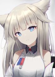 Rule 34 | 1girl, absurdres, animal ears, arknights, arknights: endfield, bare shoulders, blue eyes, commentary, covered collarbone, dress, grey background, grey hair, head tilt, highres, long hair, looking at viewer, melonkatsu, parted lips, perlica (arknights), sleeveless, sleeveless dress, solo, white background, white dress