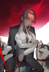 Rule 34 | 1girl, artist name, braid, chainsaw man, chair, collar, dog, drowzzi, halo, highres, jacket, jacket on shoulders, long sleeves, looking at viewer, makima (chainsaw man), necktie, pants, photoshop (medium), red hair, red halo, sitting, suit jacket, yellow eyes