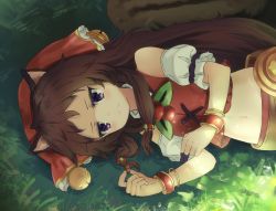 Rule 34 | 1girl, animal ears, bare shoulders, bell, belt, blush, bracelet, brown hair, chestnut, closed mouth, commentary request, crop top, dargo, detached sleeves, frown, grass, hair ornament, headdress, jewelry, jingle bell, jitome, leaf, long hair, looking at viewer, lying, midriff, navel, on side, outdoors, princess connect!, puffy short sleeves, puffy sleeves, purple eyes, red shirt, rin (princess connect!), shirt, short sleeves, solo, squirrel ears, squirrel tail, stomach, tail