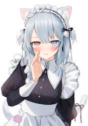 Rule 34 | 1girl, :o, animal ear fluff, animal ears, arm at side, black ribbon, blue eyes, breasts, cat ears, cat girl, cat tail, collared dress, commentary request, confession, dress, frills, gotou (nekocat), grey hair, hair ribbon, hand up, heterochromia, highres, jitome, juliet sleeves, long hair, long sleeves, looking at viewer, maid, maid headdress, octopus hair ornament, original, puffy sleeves, red eyes, ribbon, simple background, solo, sweat, tail, tail ornament, tail ribbon, two side up, upper body, whispering, white background