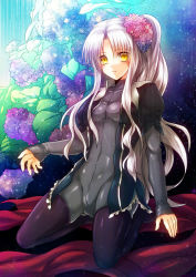 Rule 34 | 1girl, bad id, bad pixiv id, caren hortensia, fate/hollow ataraxia, fate (series), flower, hair flower, hair ornament, hydrangea, layered sleeves, long hair, name connection, pantyhose, shiny clothes, side ponytail, solo, ty 1865, white hair, yellow eyes