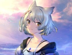 Rule 34 | 1girl, animal ears, breasts, camisole, cat ears, chest jewel, heaterandcooler, highres, jacket, looking at viewer, mio (xenoblade), pleated skirt, short hair, shoulder strap, skirt, sky, small breasts, solo, tank top, white camisole, white hair, white jacket, white skirt, white tank top, xenoblade chronicles (series), xenoblade chronicles 3, yellow eyes