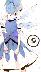 Rule 34 | circled 9, 1girl, arms behind back, bad id, bad pixiv id, blue hair, cirno, from behind, ice, ice wings, kyer, short hair, solo, touhou, wings