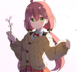 Rule 34 | 1girl, ahoge, ame., black bow, blush, bow, branch, brown cardigan, cardigan, closed mouth, collared shirt, commentary request, dress shirt, flower, green eyes, hair between eyes, hair bow, hair ornament, highres, holding, hololive, long hair, looking at viewer, low twintails, petals, pink background, pink flower, pink hair, plaid, plaid skirt, red skirt, sakura miko, sakura miko (casual), shirt, simple background, skirt, smile, solo, twintails, very long hair, virtual youtuber, white shirt