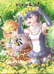 Rule 34 | 10s, 2girls, animal ears, belt, blonde hair, blue eyes, bow, bowtie, commentary request, elbow gloves, fingerless gloves, flower, fur collar, gloves, grey hair, head wreath, jaguar (kemono friends), jaguar ears, jaguar print, jaguar tail, kemono friends, multicolored hair, multiple girls, nun lily, one-piece swimsuit, otter ears, otter tail, short hair, short sleeves, skirt, small-clawed otter (kemono friends), sweatdrop, swimsuit, tail, thighhighs, translation request, wavy mouth, white hair, yellow eyes