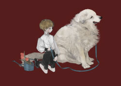 Rule 34 | 1boy, bishounen, black footwear, black shorts, black socks, blonde hair, blue eyes, buttons, closed mouth, collared shirt, commentary, dog, flower, frilled shirt, frills, full body, great pyrenees, holding, holding leash, kneeling, leash, long sleeves, looking to the side, male focus, nekosuke (oxo), original, pink flower, pink tulip, profile, red background, shirt, shoes, short hair, shorts, simple background, sleeve cuffs, socks, solo, tulip, watering can, white dog, white shirt